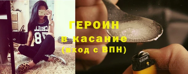 молекула духа Богданович