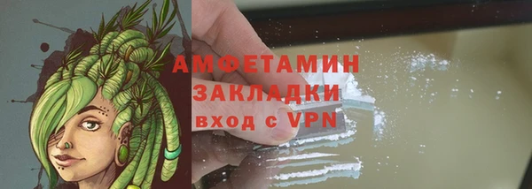 молекула духа Богданович