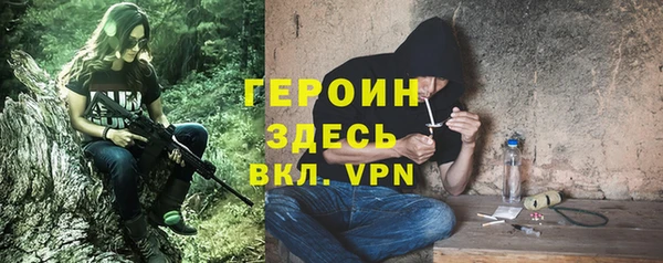 молекула духа Богданович
