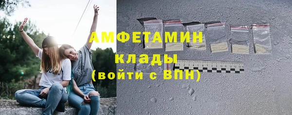 spice Богородицк