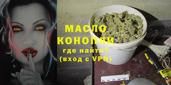 молекула духа Богданович