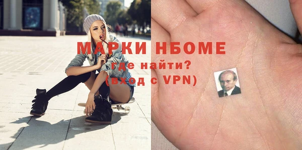 молекула духа Богданович
