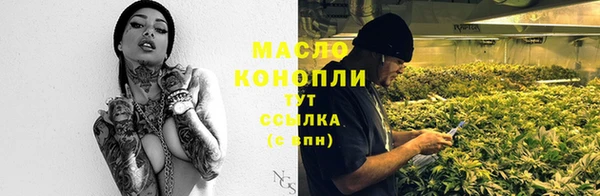 spice Богородицк