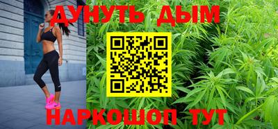 шишки Аргун