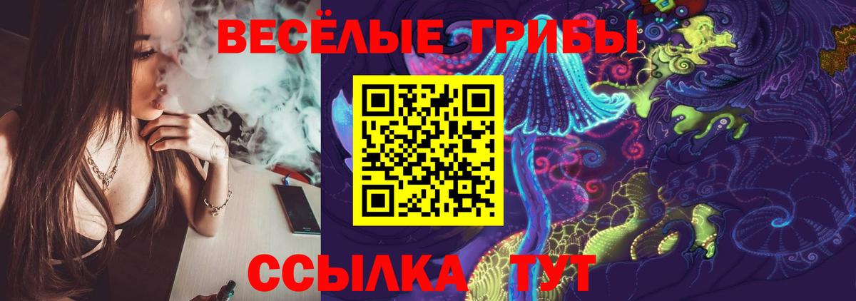 Псилоцибиновые грибы Psilocybine cubensis Вязьма