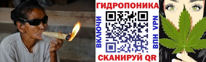 Каннабис OG Kush Вязьма